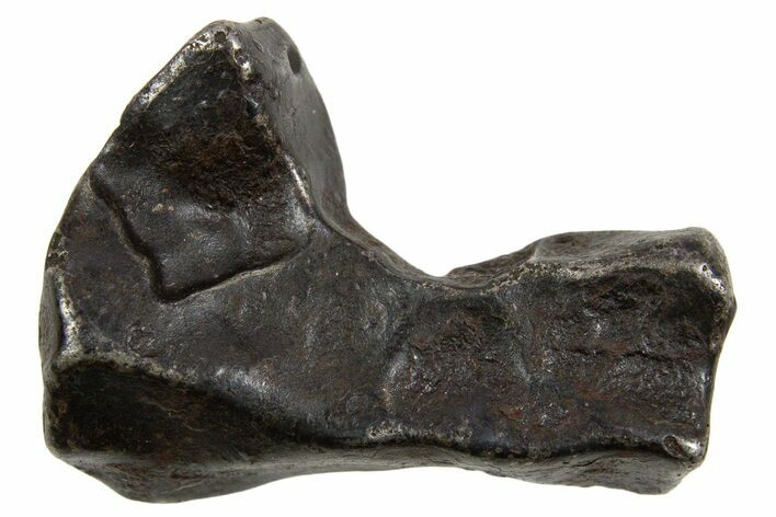 Fusion Crusted Sikhote-Alin Iron Meteorite ( g) - Russia #334590